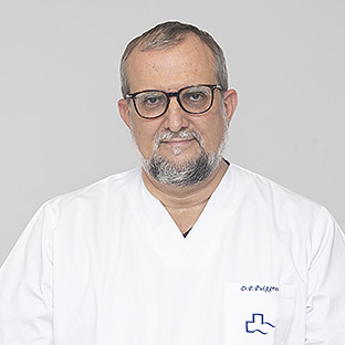 Dr. Fernando Puiggros